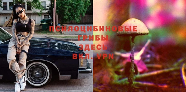 дурь Белоозёрский