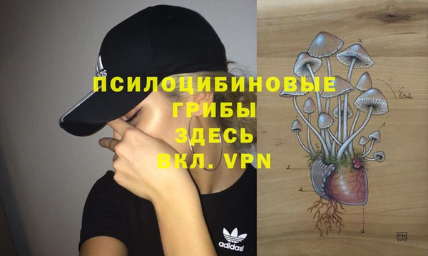 дурь Белоозёрский